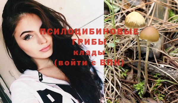хмурый Киреевск