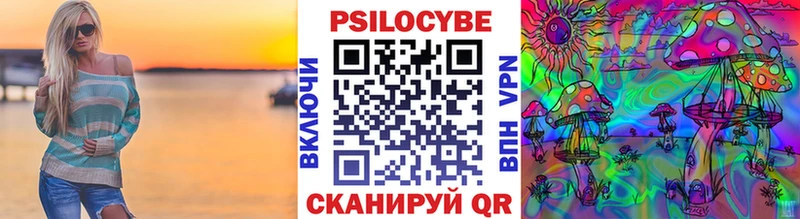 shop клад  Красный Холм  Галлюциногенные грибы Psilocybe  где купить  